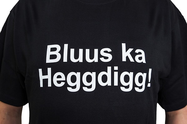 Bluus ka Heggdigg